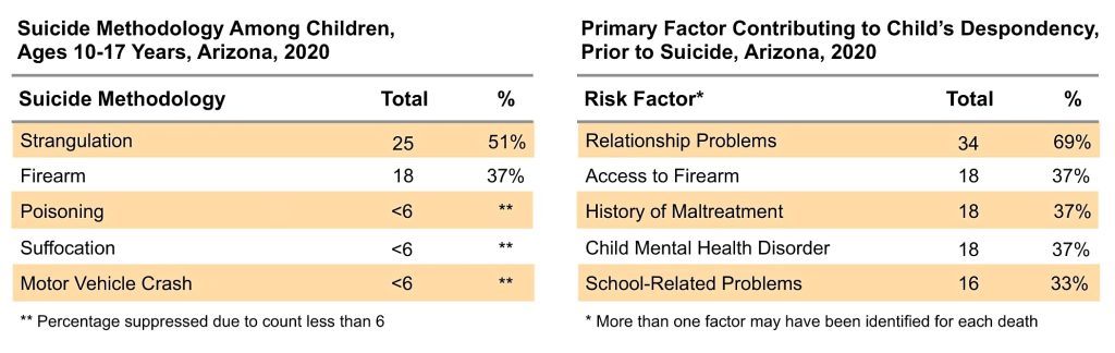 Arizona Child Suicides: Methodology & Risk Factors